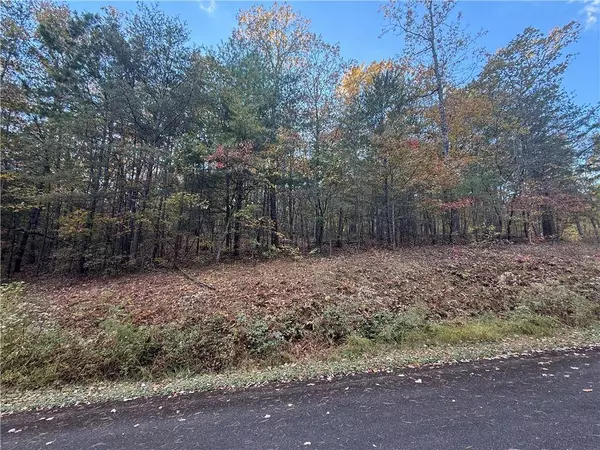 0 Black Bear Court CT, Ellijay, GA 30536