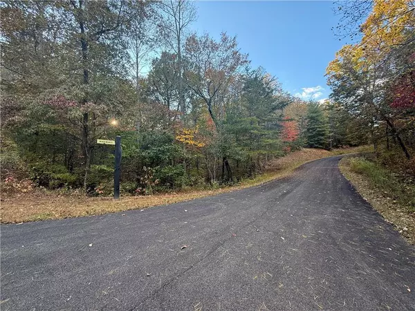 0 Black Bear Court CT, Ellijay, GA 30536