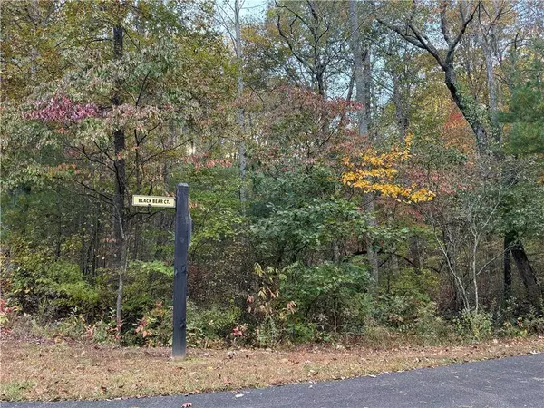 0 Black Bear Court CT, Ellijay, GA 30536
