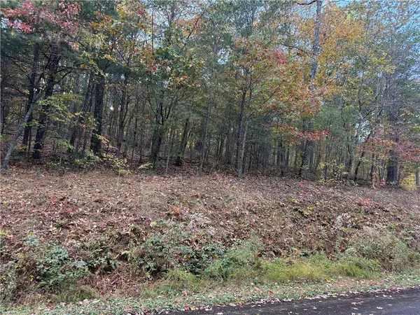 0 Black Bear Court CT, Ellijay, GA 30536