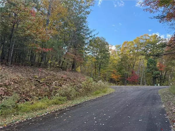 0 Black Bear Court CT, Ellijay, GA 30536