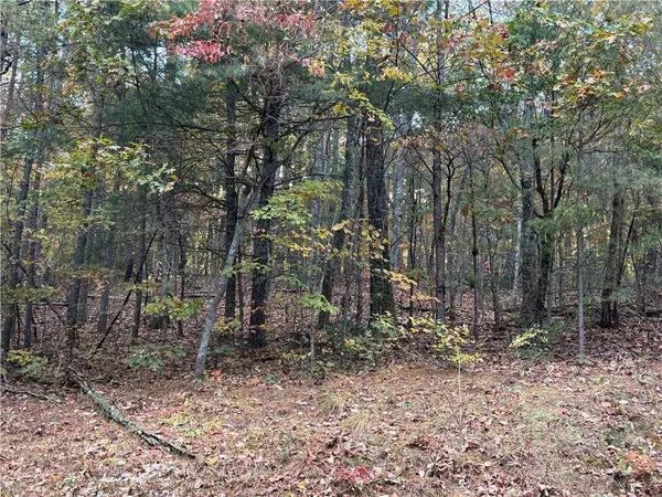 0 Black Bear Court CT, Ellijay, GA 30536