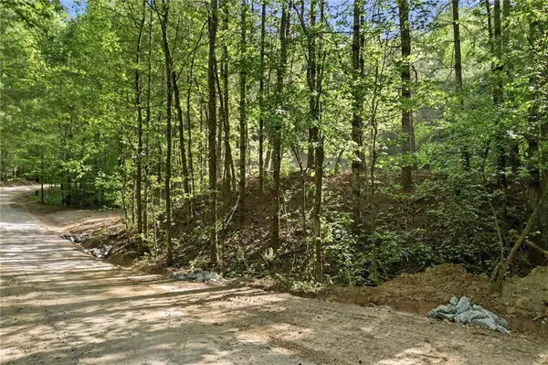 50 Mount Sequoyah RD, Jasper, GA 30143