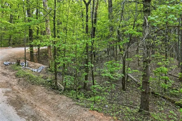 50 Mount Sequoyah RD, Jasper, GA 30143