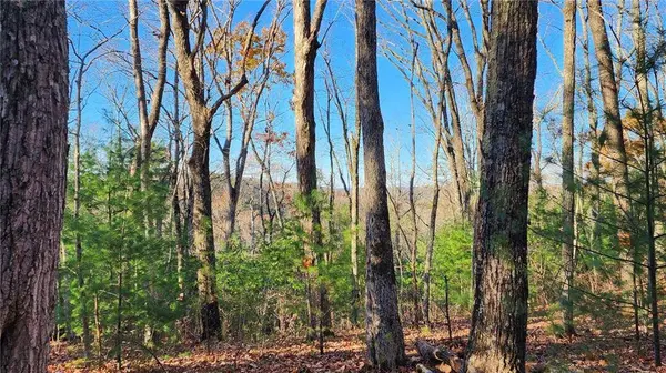 0 Meadowlands DR, Talking Rock, GA 30175