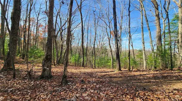 0 Meadowlands DR, Talking Rock, GA 30175