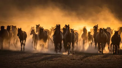 AdobeStock_335226820