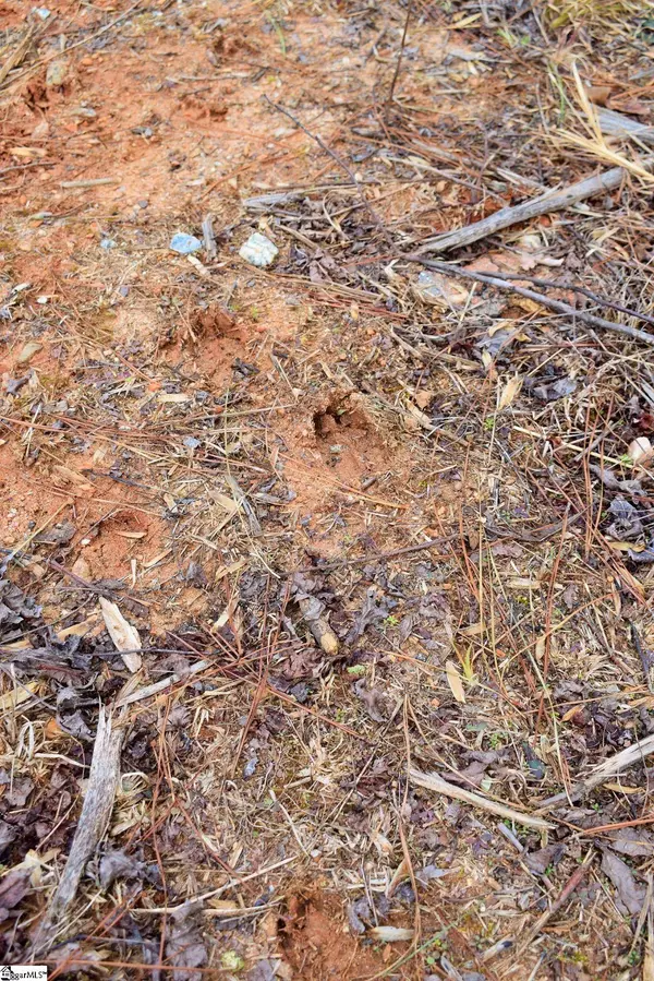 101 Lord Byron Lane, Travelers Rest, SC 29690