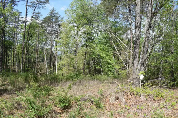 0 Winter DR #Lot 7, Mill Spring, NC 28756