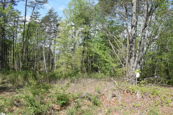 0 Winter Drive, Mill Spring, NC 28756