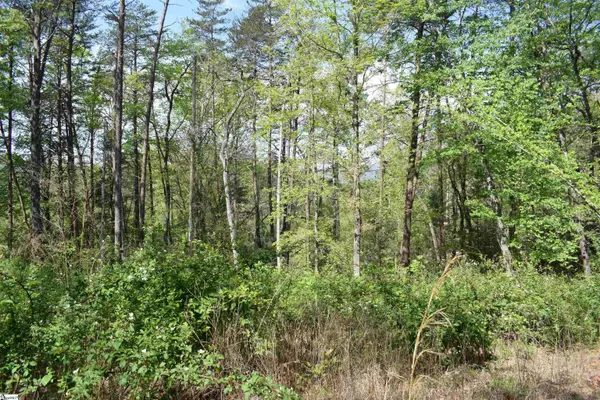 0 Winter Drive, Mill Spring, NC 28756