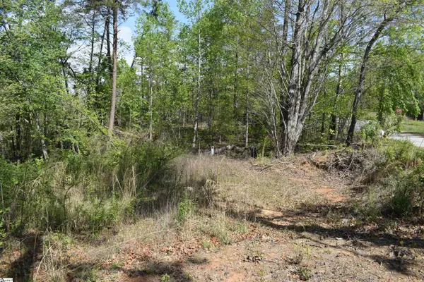 0 Winter Drive, Mill Spring, NC 28756