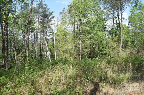 0 Winter DR #Lot 7, Mill Spring, NC 28756