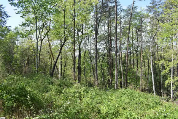 0 Winter Drive, Mill Spring, NC 28756