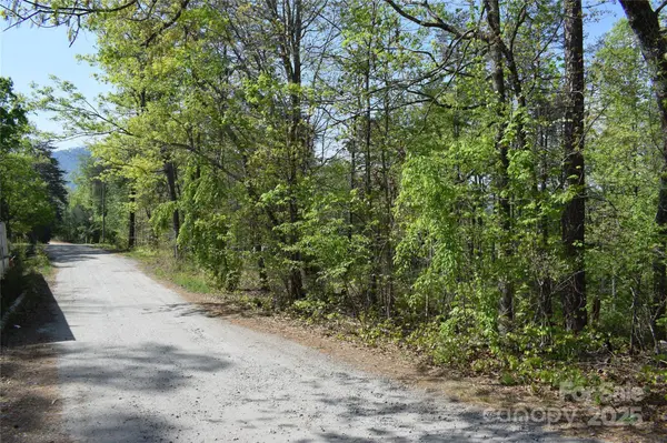 0 Winter DR #Lot 7, Mill Spring, NC 28756
