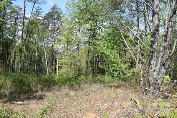 0 Winter DR #Lot 7, Mill Spring, NC 28756