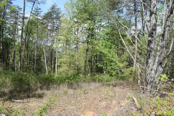 0 Winter Drive, Mill Spring, NC 28756