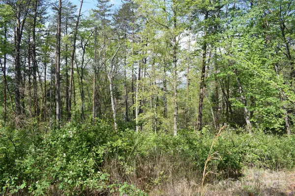 0 Winter DR #Lot 7, Mill Spring, NC 28756