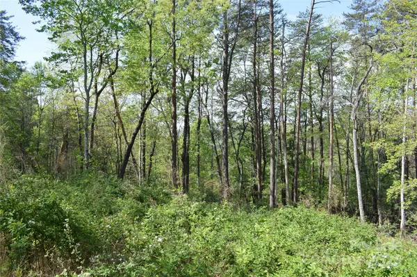 0 Winter DR #Lot 7, Mill Spring, NC 28756