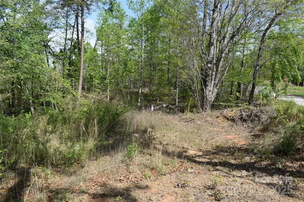 0 Winter DR #Lot 7, Mill Spring, NC 28756