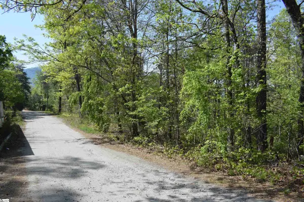 0 Winter Drive, Mill Spring, NC 28756