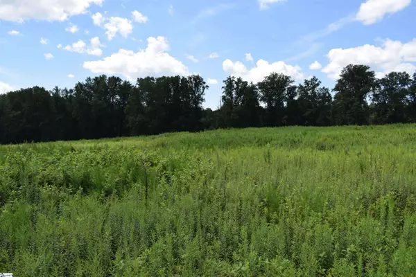 8141 Highway 357, Campobello, SC 29322