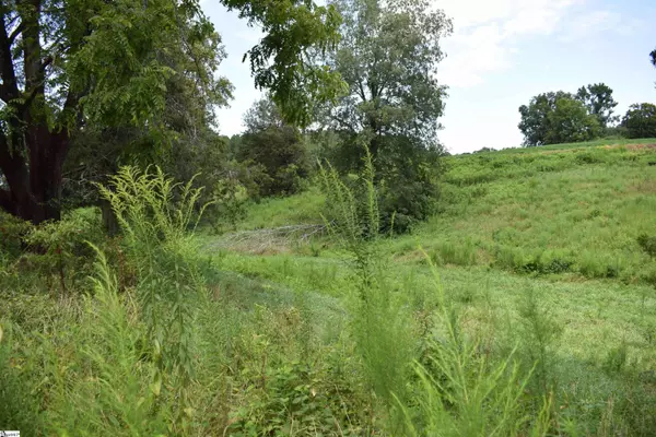 8141 Highway 357, Campobello, SC 29322