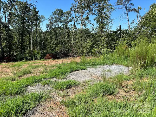 414 Walkaloosa WAY, Mooresboro, NC 28114