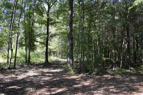 0 Lyman Lodge Road, Lyman, SC 29365