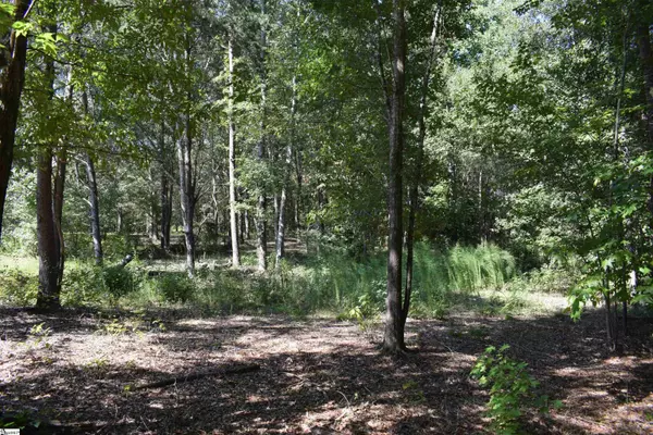 0 Lyman Lodge Road, Lyman, SC 29365