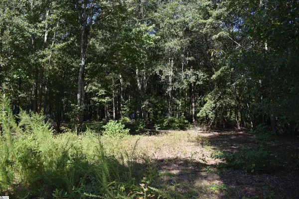 0 Lyman Lodge Road, Lyman, SC 29365