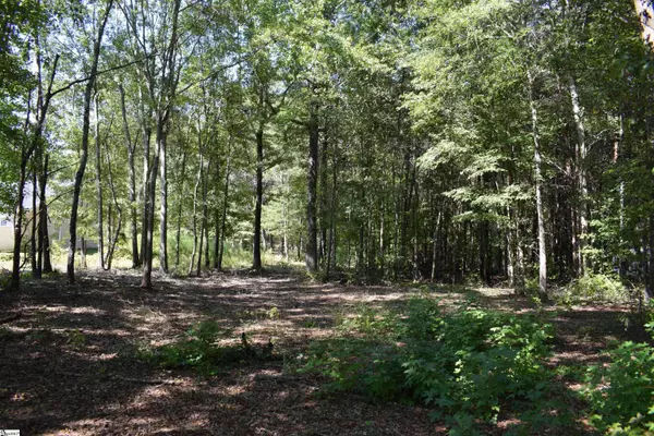 0 Lyman Lodge Road, Lyman, SC 29365