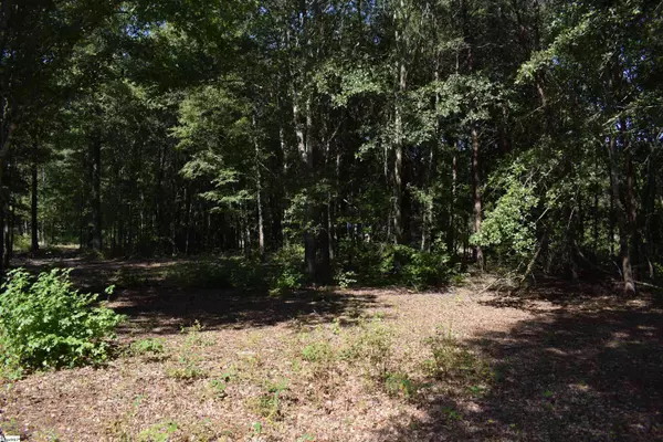 0 Lyman Lodge Road, Lyman, SC 29365