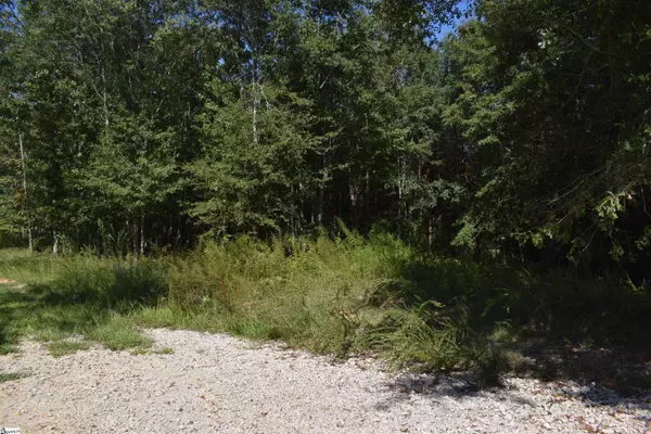 0 Lyman Lodge Road, Lyman, SC 29365