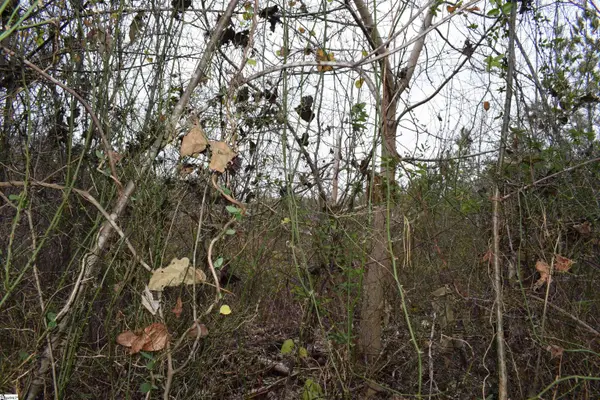 Goforth Road, Landrum, SC 29356