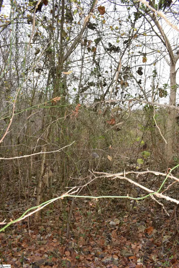 Goforth Road, Landrum, SC 29356