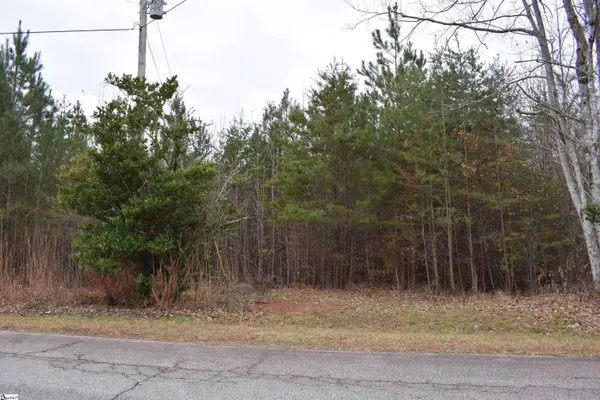 Goforth Road, Landrum, SC 29356