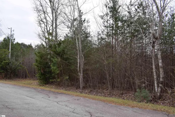 Goforth Road, Landrum, SC 29356