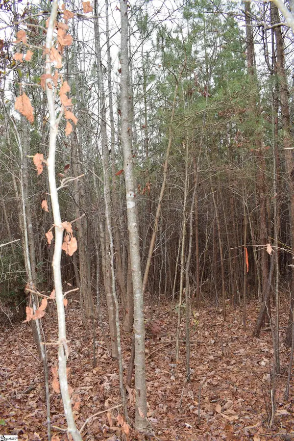 Goforth Road, Landrum, SC 29356