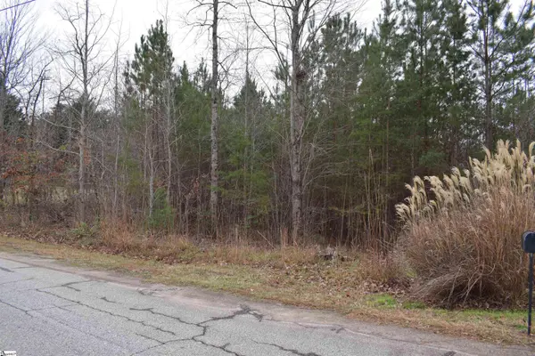 Goforth Road, Landrum, SC 29356