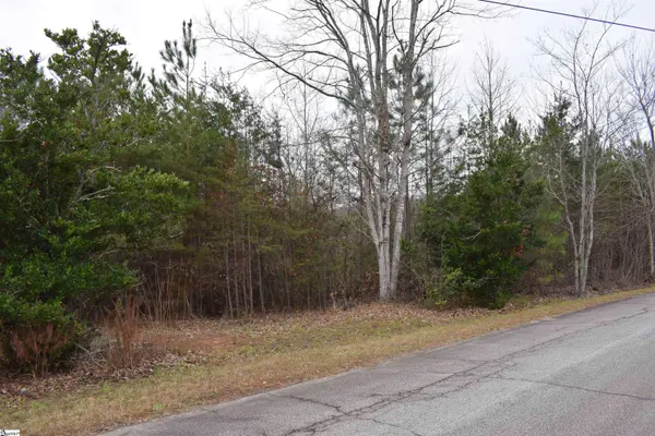 Goforth Road, Landrum, SC 29356