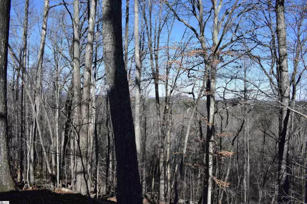 228 Wildwood Lane, Columbus, NC 28722