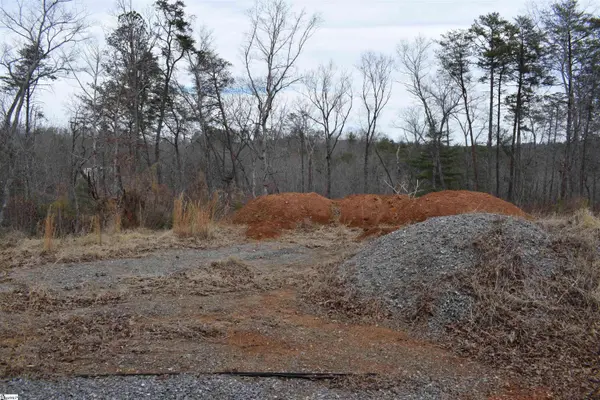 172 Winter Lane, Mill Spring, NC 28756