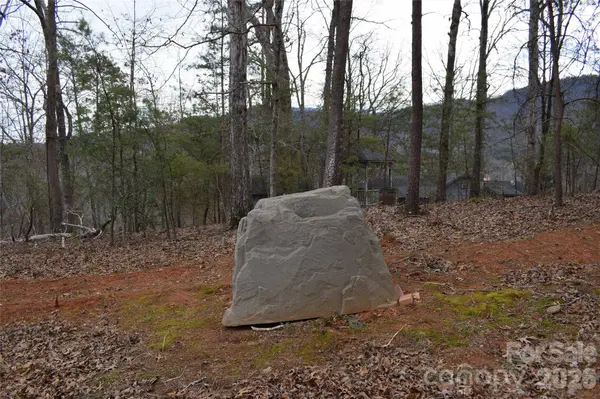 172 Winter LN, Mill Spring, NC 28756