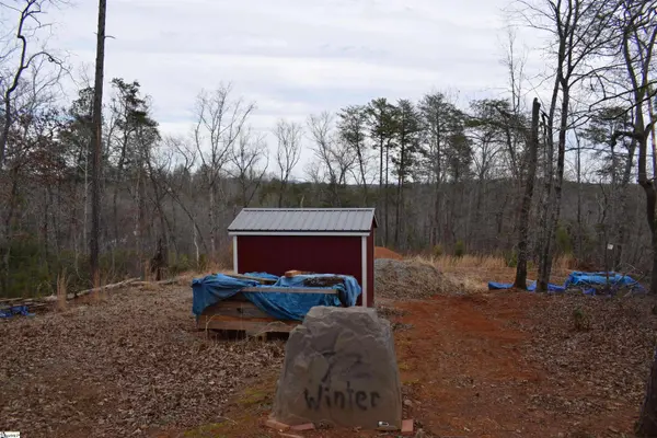 172 Winter Lane, Mill Spring, NC 28756