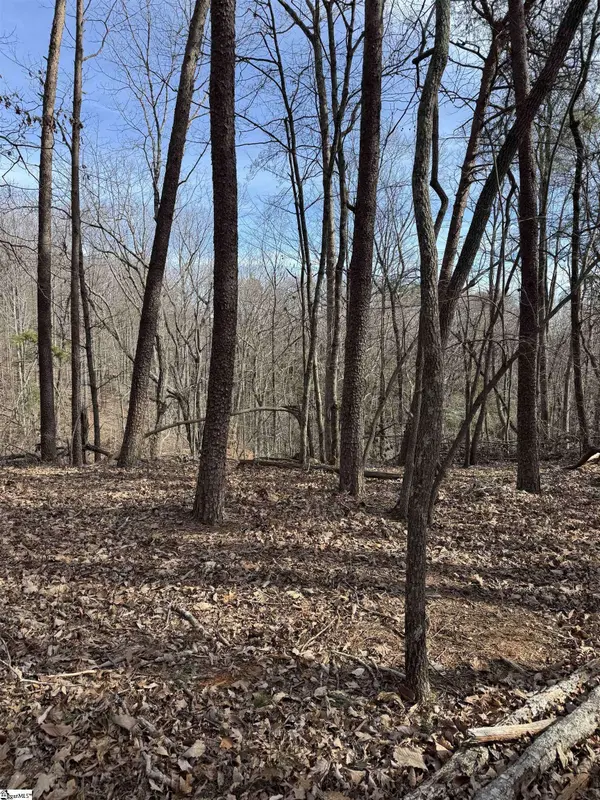 Butter Street, Landrum, SC 29356