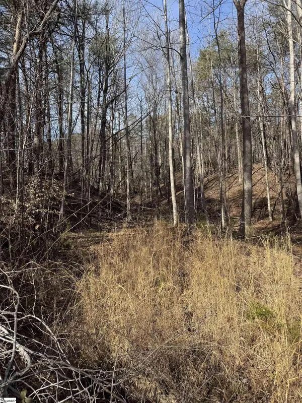 Butter Street, Landrum, SC 29356