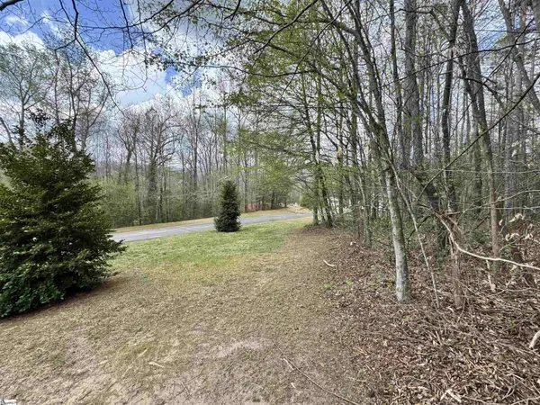 101 Autumn Leaves Way, Marietta, SC 29661