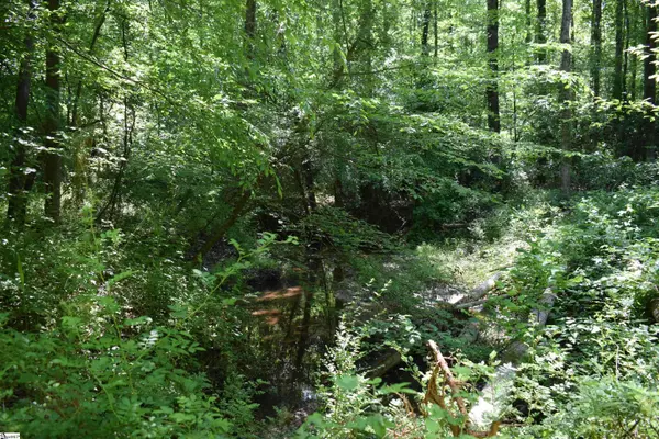 Floyd Blackwell Road, Tryon, NC 28722