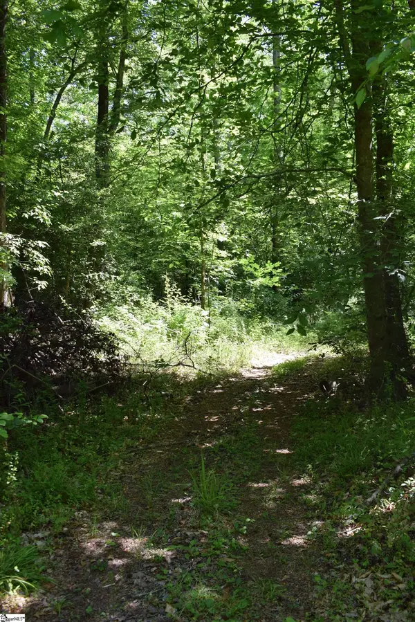 Floyd Blackwell Road, Tryon, NC 28722